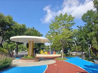 烟台莱山构筑全域美育新图景：艺术融入日常，城市焕发美学活力