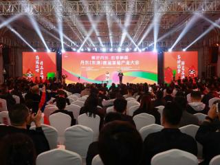 娜扎现身丹东（东港）草莓产业大会 公益初心与文旅魅力双向赋能