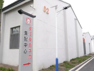 盐城盐都：特色产业筑基 绘就富美乡村画卷