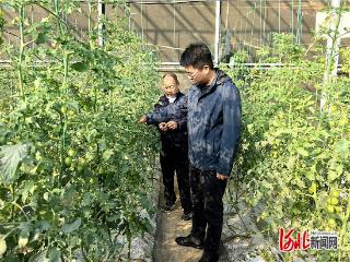 AI赋能千行百业一线故事（十七）：这位“农事专家”，让种地更聪明