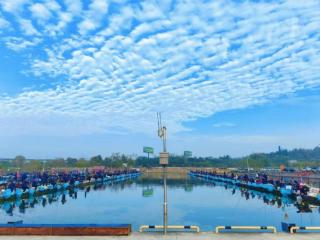 长三角钓鱼高手齐聚铜陵竞技