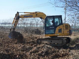 临沭县大兴镇开展深挖整地作业