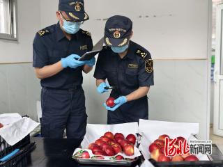 京唐港海关助推乐亭特色产品扬帆出海