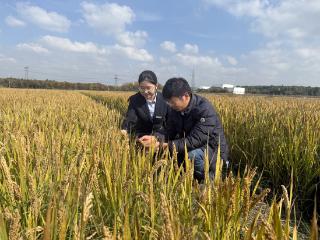 产业贷款施“粮”策 金融活水润粮仓