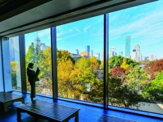 “最美落地窗”秋景上新