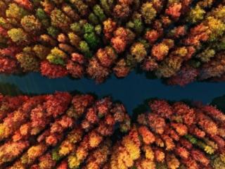 水乡金湖发出最美邀约：一起来“捞秋”