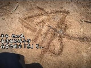 刻在黄土上的“家”，诉说着台胞的思念和归途