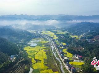 湖南慈利：深耕沃野结硕果 乡村振兴踏浪行