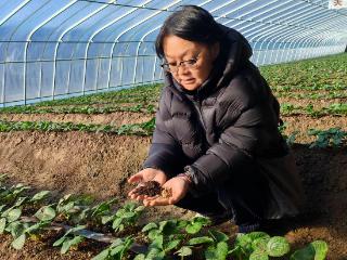 妙招“点”土成“金” 薄田变身“聚宝盆”