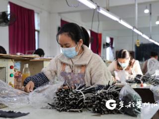 绥阳县嘉英鞋厂：铆足干劲赶订单 外贸赛道加速度