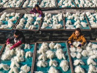 庐江：特色“老味道” 致富新路子