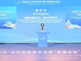 郭宁宁率福州市代表团访问印度尼西亚