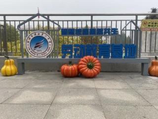 淄博博山六中：鱼菜共生实践基地点亮劳动教育新课堂