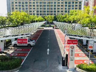 青岛市市南区：营商沃土育梧桐，招商有为引凤来