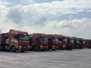 中储粮宁都直属库强化服务保障 中晚稻收购高效有序推进