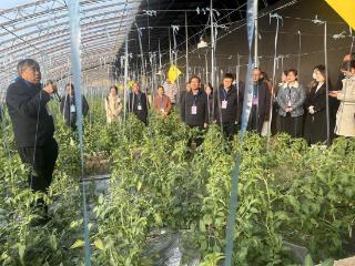 顶尖专家到渭南 田间地头变成“移动课堂”