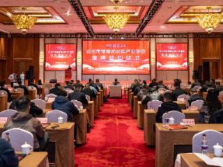 为镁基新材料发展注入新动能 池州市镁基新材料产业协会成立