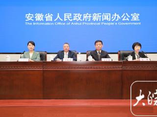 用电用气量增速领跑长三角 安徽 “十四五”能源成绩单发布