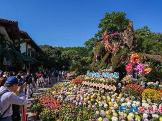 2万多株！福州西湖又上新！