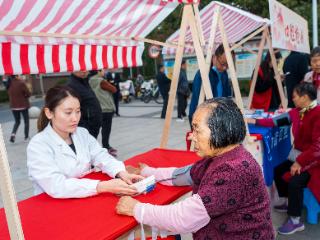 蔺坊社区：织密基层治理“红网格”，筑牢为民服务“主心骨”