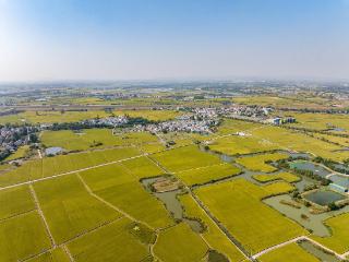 江宁，好吃得一米！