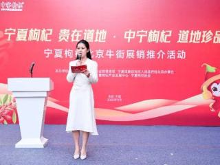 “以杞为媒”京宁携手点燃京城健康消费季 北京牛街举办宁夏枸杞展销推介活动