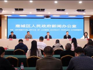 34场球赛免费看！温州市首届瓯越足球冠军联赛鹿城赛区12月7日开赛