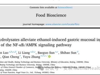 胃不好别慌！酵母蛋白水解物：守护胃黏膜的“天然修复师”
