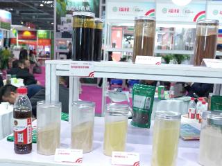 酵母科技赋能现代农业，打造绿色种植新范式