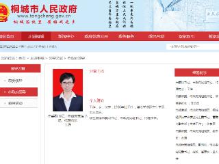 王静任桐城市委副书记，市政府党组书记、代理市长