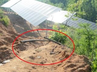 一顿小酒后双双被抓，他们做了啥？