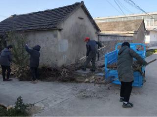 临沭县玉山镇：人大代表当先锋 绘就乡村新画卷