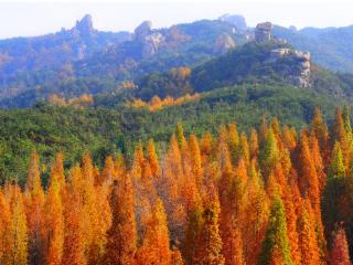 秋韵崂山｜定格秋韵，共赏佳片！“游崂山 晒秋色”全域影像征集评选获奖名单揭晓