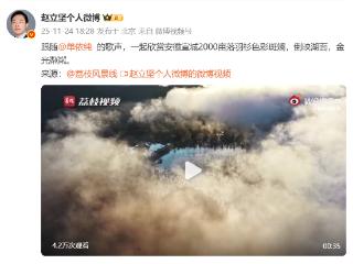 赵立坚发微博推荐宣城落羽红杉林