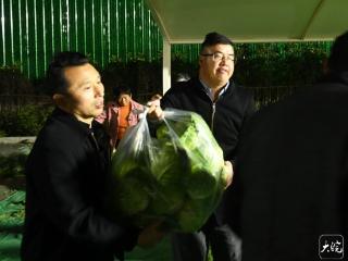 四中全会精神在江淮|“包菜书记”有三包——利辛县陆暗楼村乡村振兴见闻