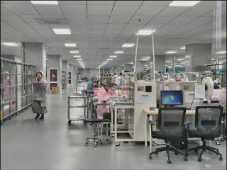 山海苍南，向“绿”而行：一场跨越二十年的发展嬗变