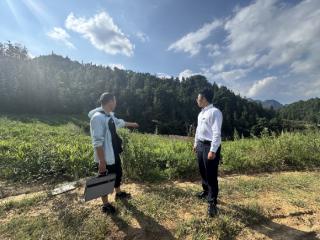 工行兴义万峰支行：“种植e贷”润沃野 普惠金融显担当