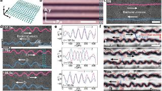中国科大发现活性液晶可编程双行波新机制
