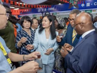 西非最大博览会迎来中国“主宾国”——湖南代表团集结亮相，深化对非经贸合作