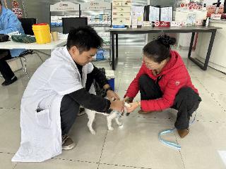 庆元家园社区开展“文明养犬，健康相伴”主题活动