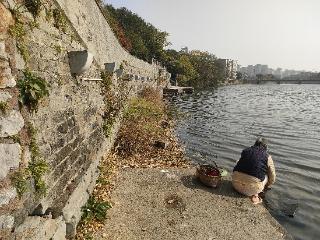 记者探访巢湖古城墙遗存：城墙砖上字迹已模糊，文史研究者讲述来龙去脉