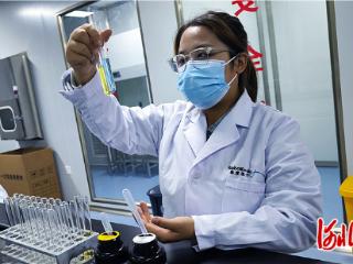 京津研发河北转化进行时（四）：一个手术机器人的京冀智慧接力