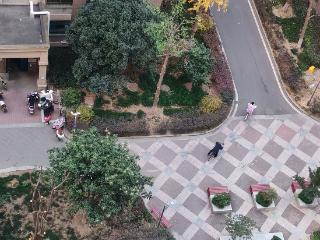 寒潮已抵达 安徽大部将出现“断崖式”降温