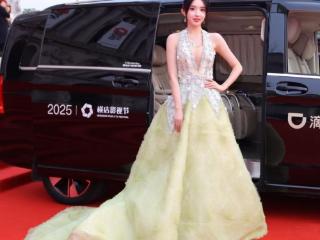 第十一届“文荣奖”揭晓！何沐蓉等青年演员亮相红毯！