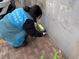 济南市莱芜区凤城街道芳馨园社区：投放毒饵 保一方平安
