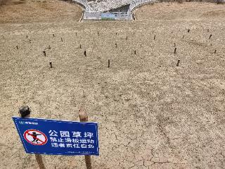 滑草火爆致河堤部分草坪枯死 六安管理部门钉桩“谢客”