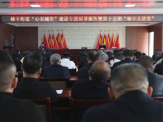 无棣县棣丰街道开展“心安城市”建设专题辅导报告暨第十五期“棣丰大讲堂”
