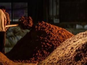 吡嗪：藏于酱香白酒里的香气与品质密码