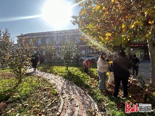 石家庄高新区宋北小学举行落叶剪纸实践活动