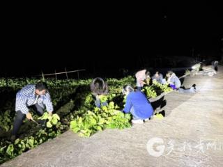 习水石门村：集体“家底”越来越厚 群众生活越过越甜